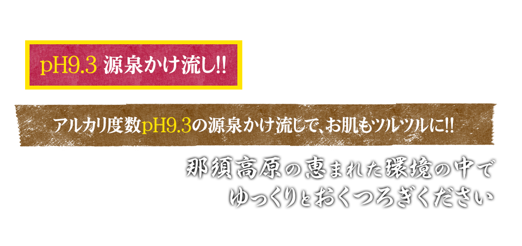 那珂川温泉 皆幸乃湯 ホテルアライ公式サイト