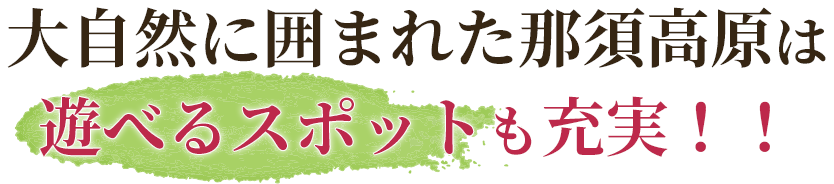 大自然に囲まれた那須高原は遊べるスポットも充実！！